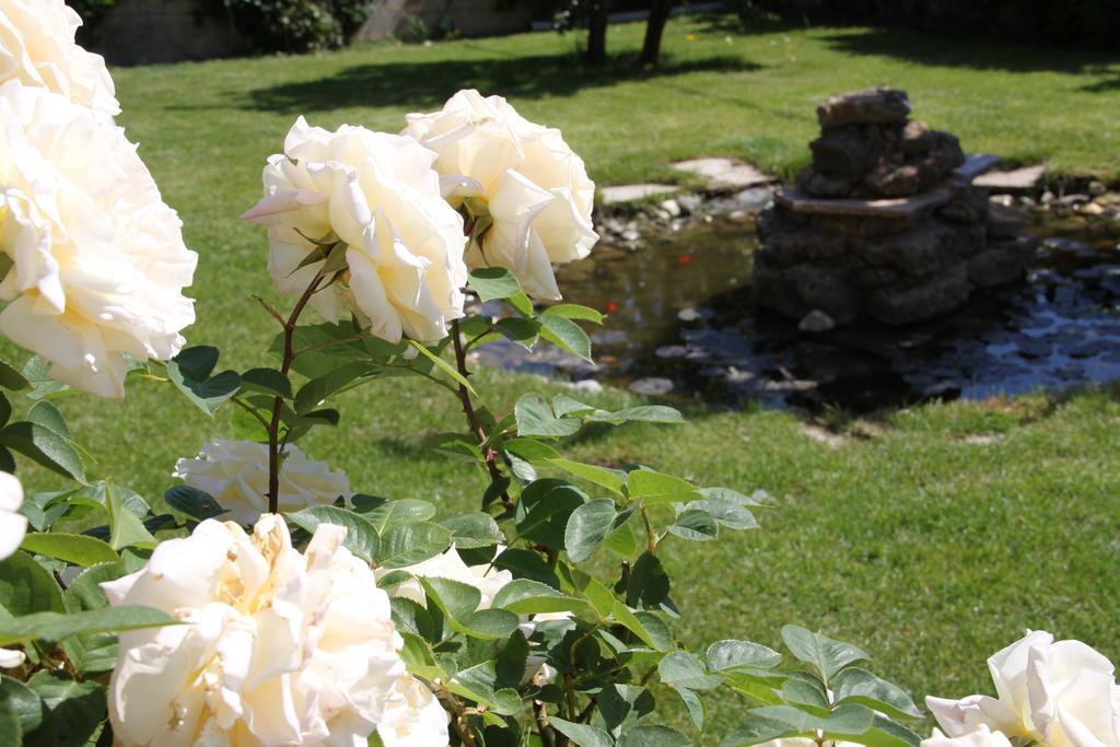 Villa Mencia 코룰론 외부 사진